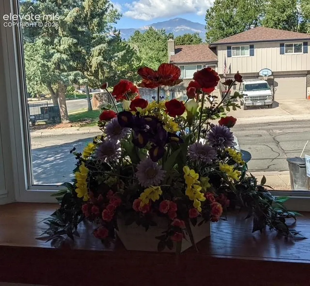 4125 Tulip Way Colorado Springs CO 80907