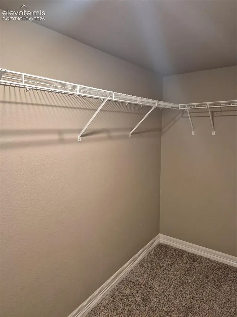6941 Winnicut Drive Colorado Springs CO 80925