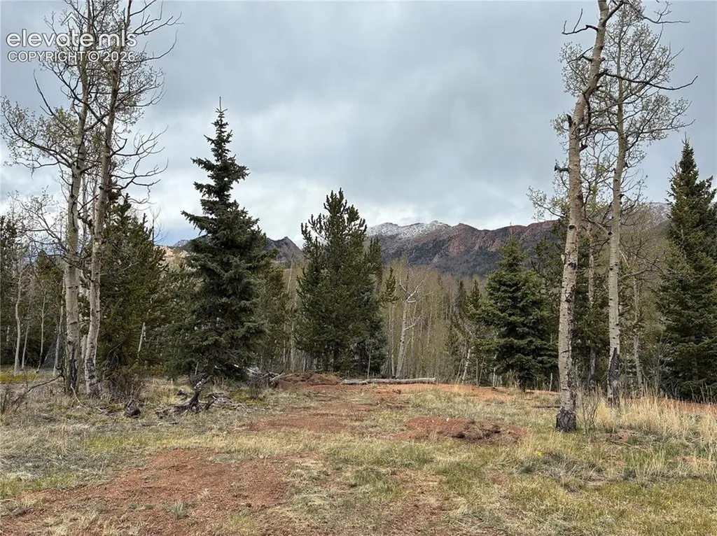 12201 S Highway 67 Na Cripple Creek CO 80813
