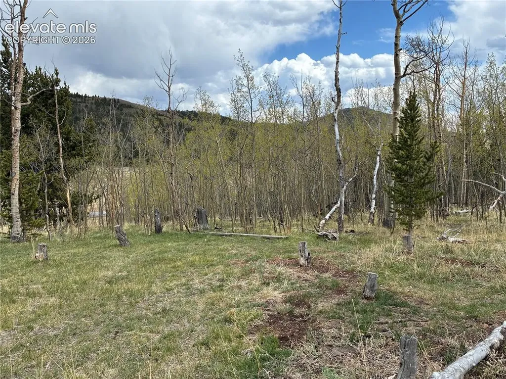 12201 S Highway 67 Na Cripple Creek CO 80813