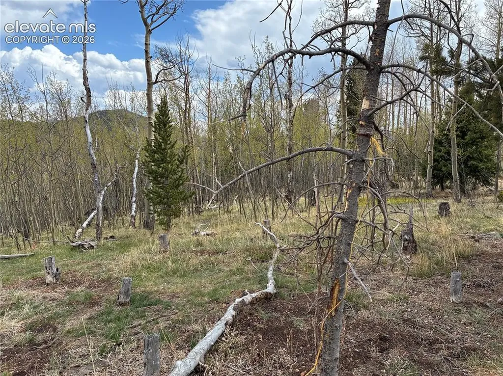 12201 S Highway 67 Na Cripple Creek CO 80813