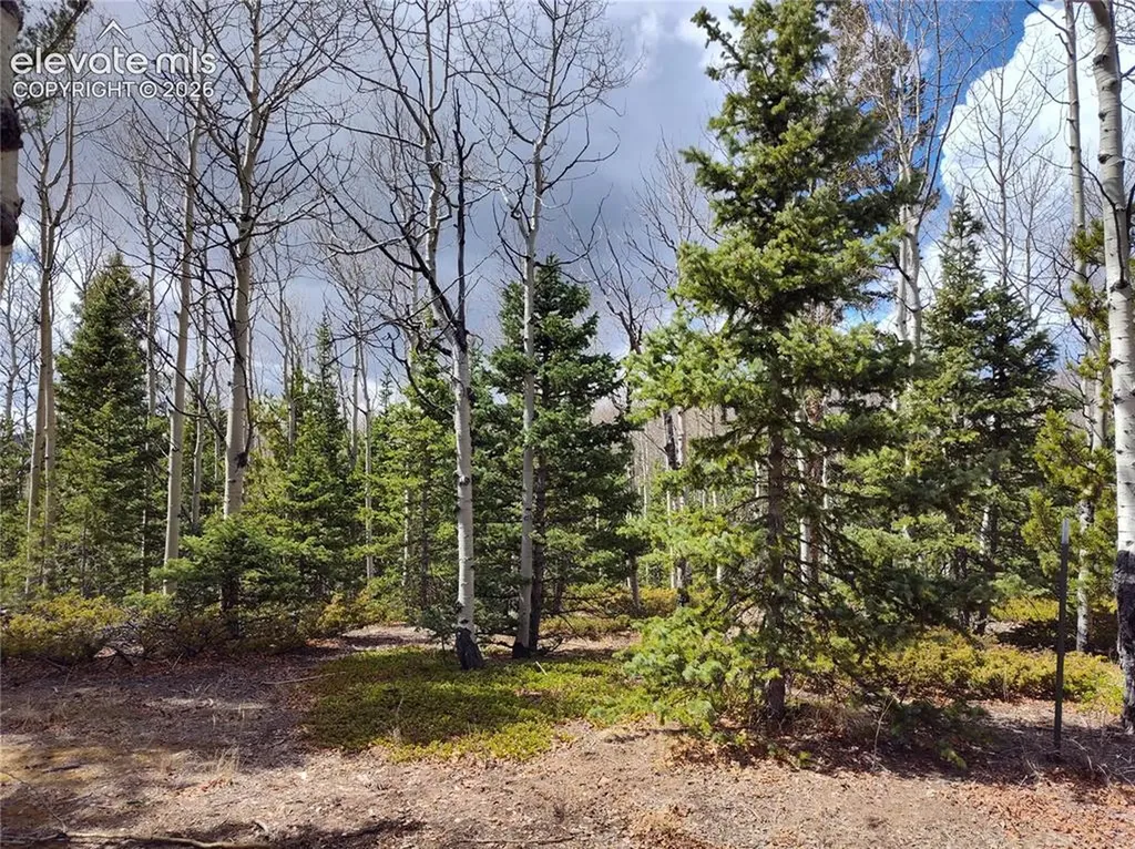 12201 S Highway 67 Na Cripple Creek CO 80813