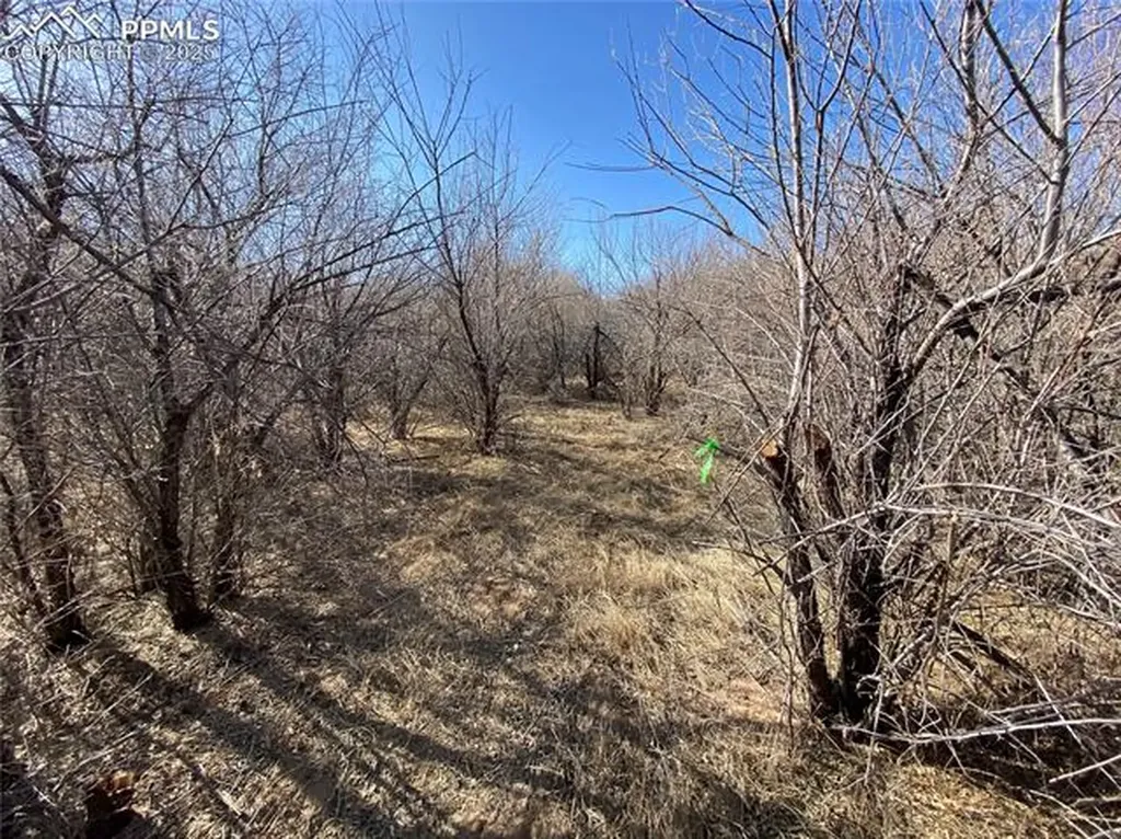 14 Ghost River Ranch Na Walsenburg CO 80189