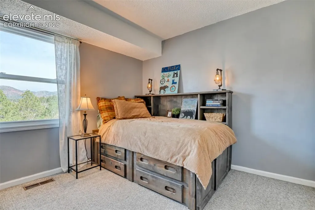 379 Raspberry Lane Monument CO 80132