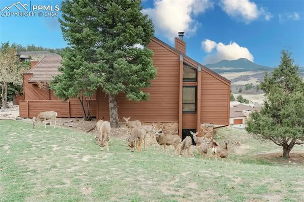 4452 Sentinel Rock Na Larkspur CO 80118