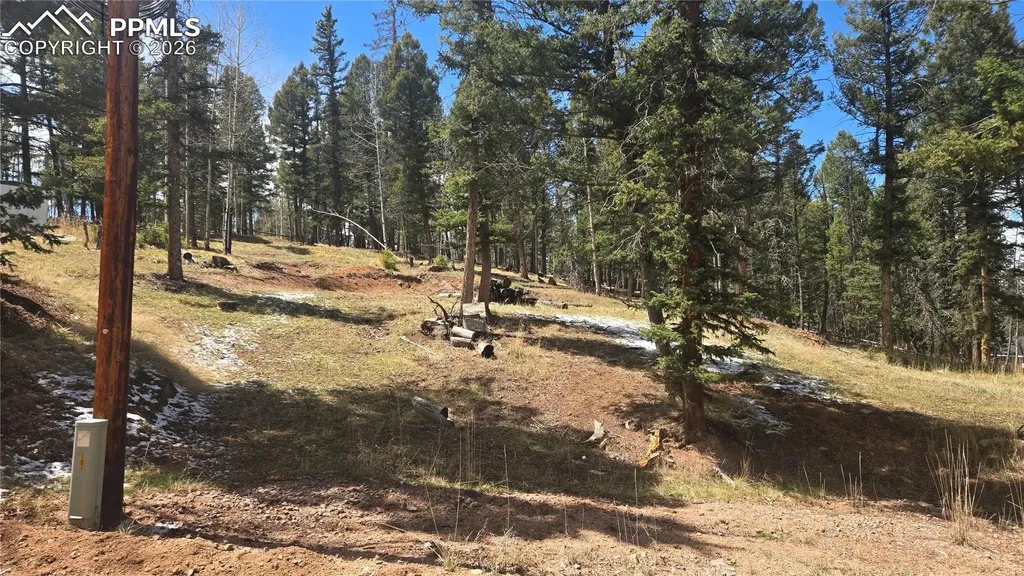 151 Mt Elbert Road Florissant CO 80816