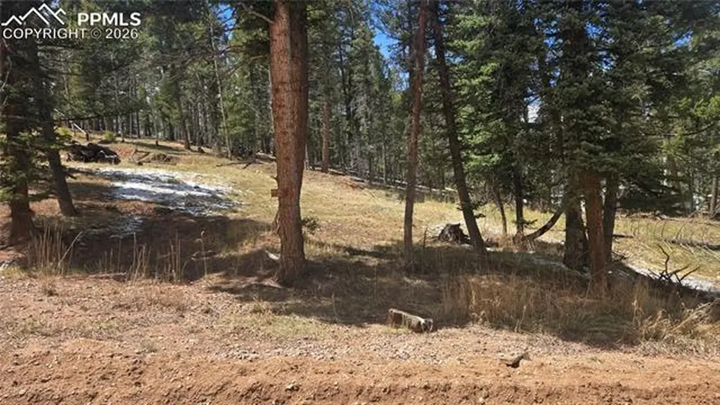151 Mt Elbert Road Florissant CO 80816