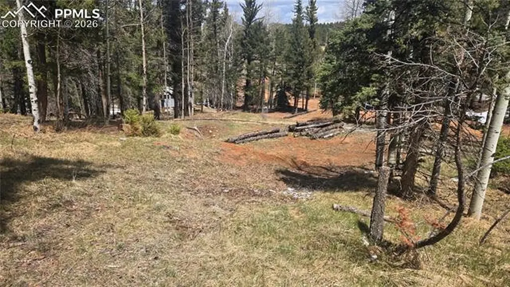 151 Mt Elbert Road Florissant CO 80816