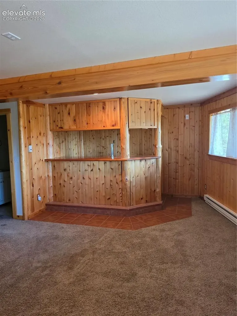 305 Private Drive Lake George CO 80827