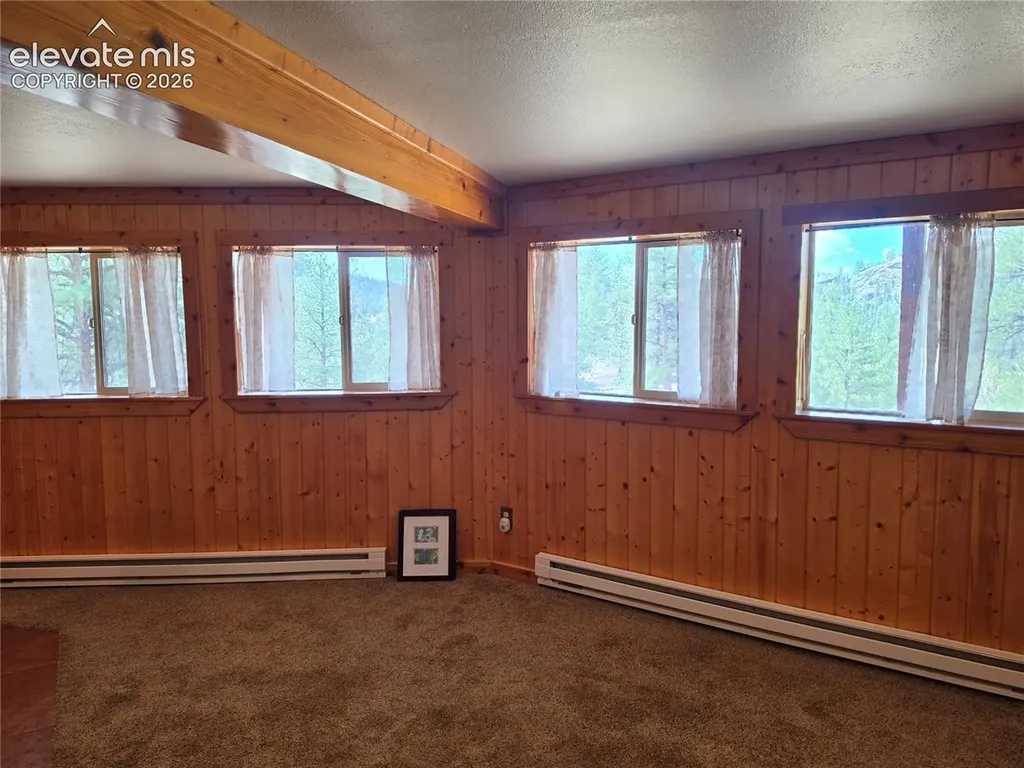 305 Private Drive Lake George CO 80827
