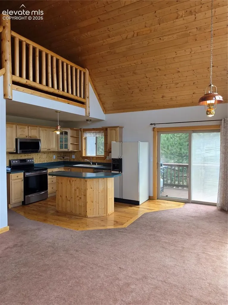 305 Private Drive Lake George CO 80827