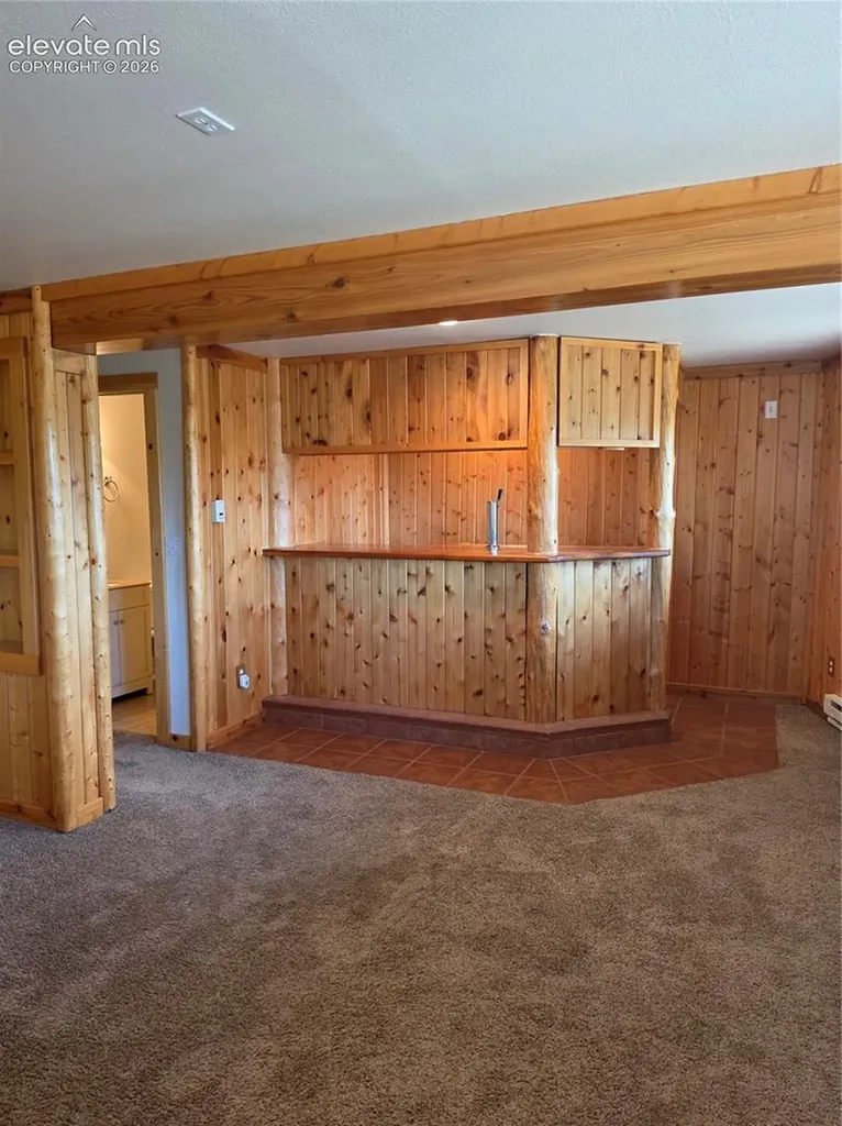 305 Private Drive Lake George CO 80827