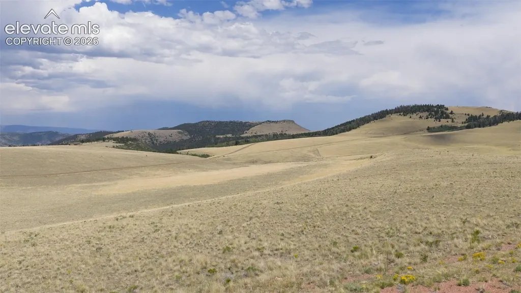 234 Cimarron Na Canon City CO 81212