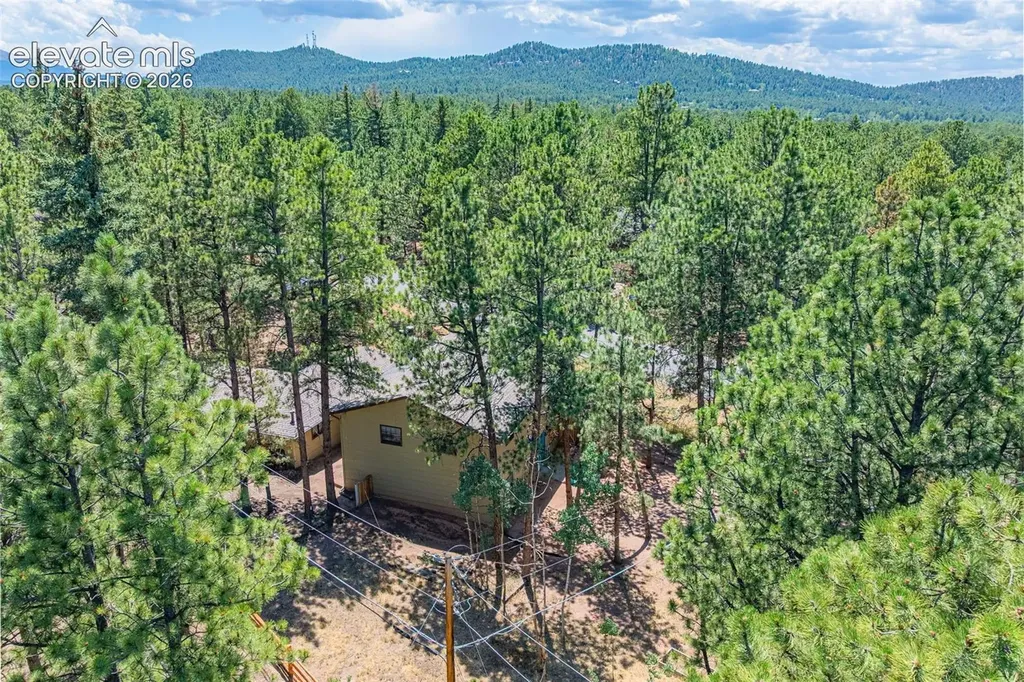 917 Centre Camino Na Woodland Park CO 80863