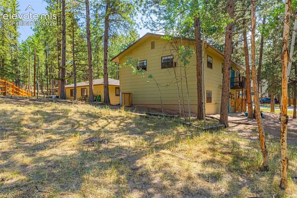 917 Centre Camino Na Woodland Park CO 80863