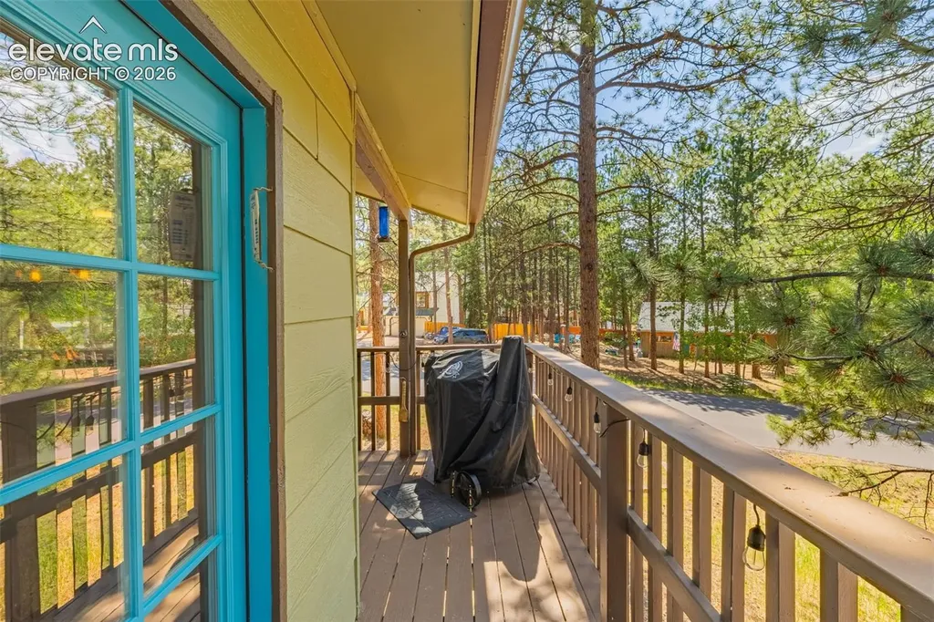 917 Centre Camino Na Woodland Park CO 80863