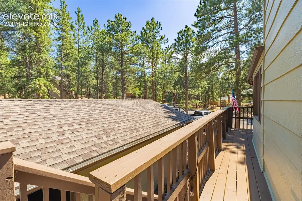 917 Centre Camino Na Woodland Park CO 80863