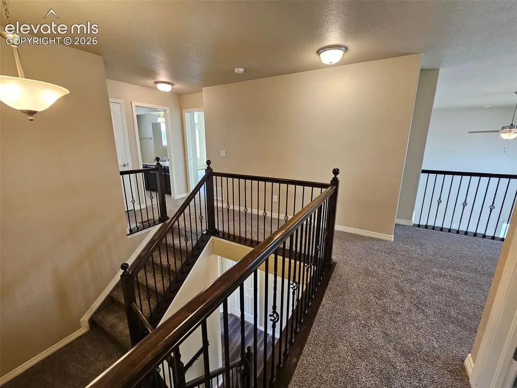 6471 Stingray Lane Colorado Springs CO 80925