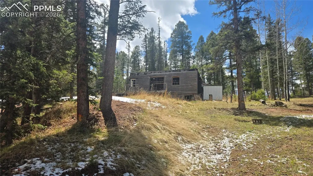 129 Mt Elbert Road Florissant CO 80816