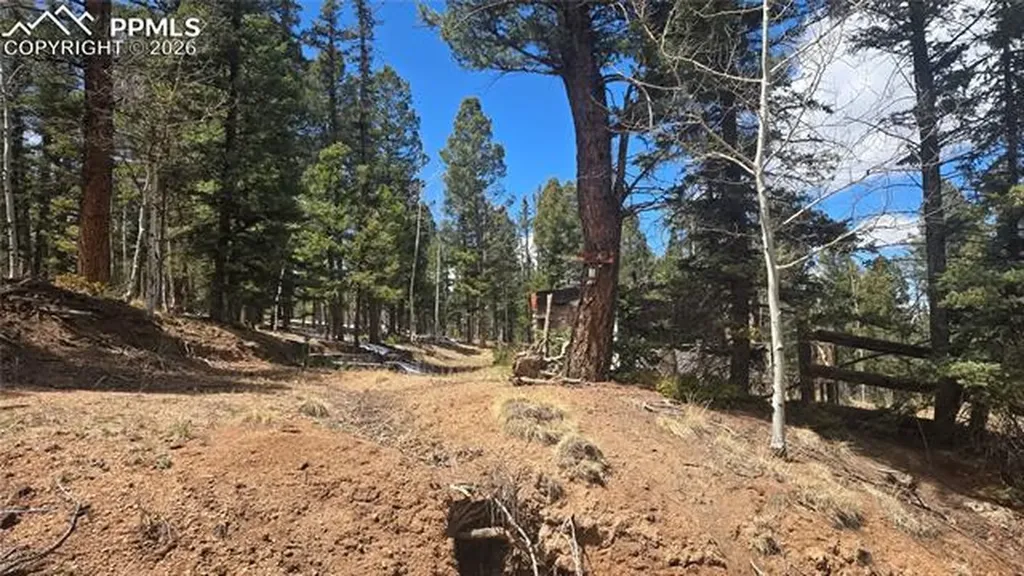 129 Mt Elbert Road Florissant CO 80816