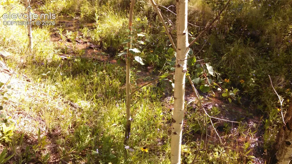 0 Unknown Na Cripple Creek CO 80813