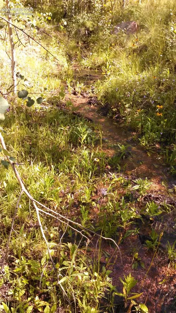 0 Unknown Na Cripple Creek CO 80813
