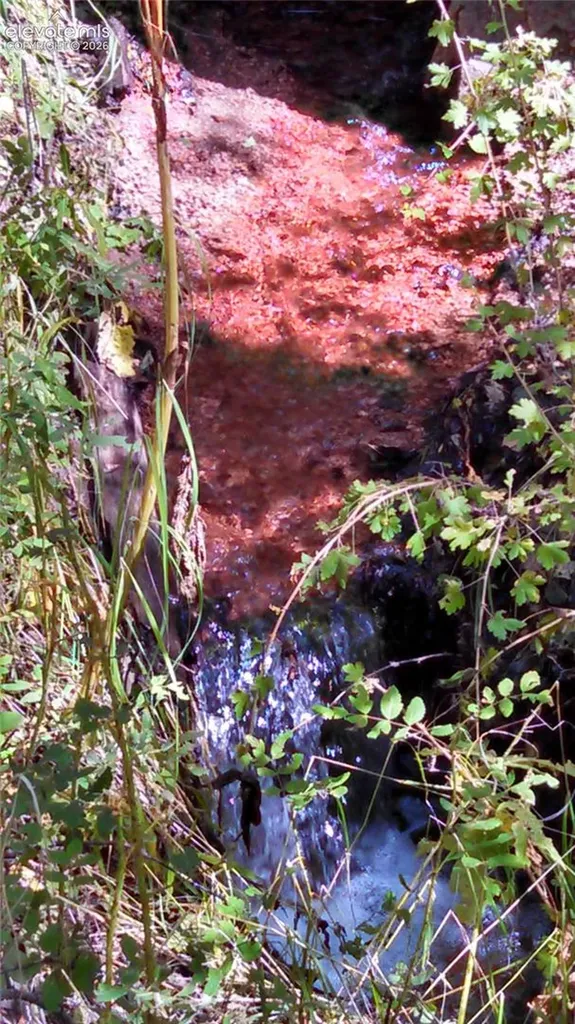 0 Unknown Na Cripple Creek CO 80813
