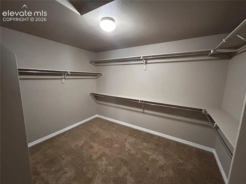 7118 Dutch Loop Colorado Springs CO 80925