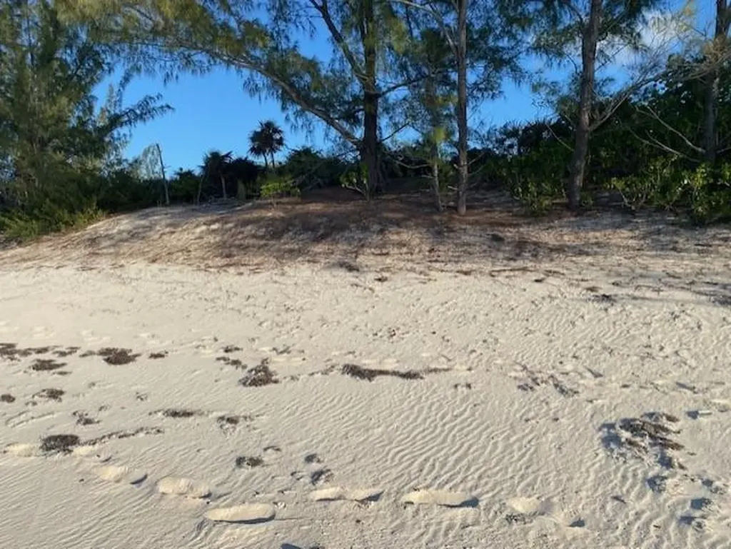 Grape Point, Cat Island Cat Island BS