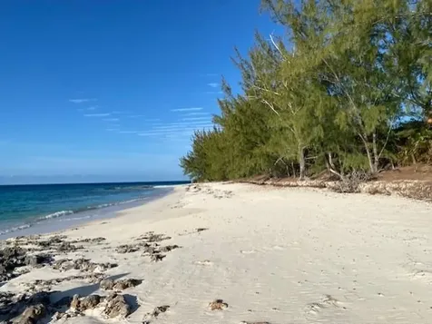 Grape Point, Cat Island Cat Island BS