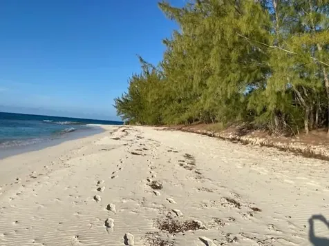 Grape Point, Cat Island Cat Island BS