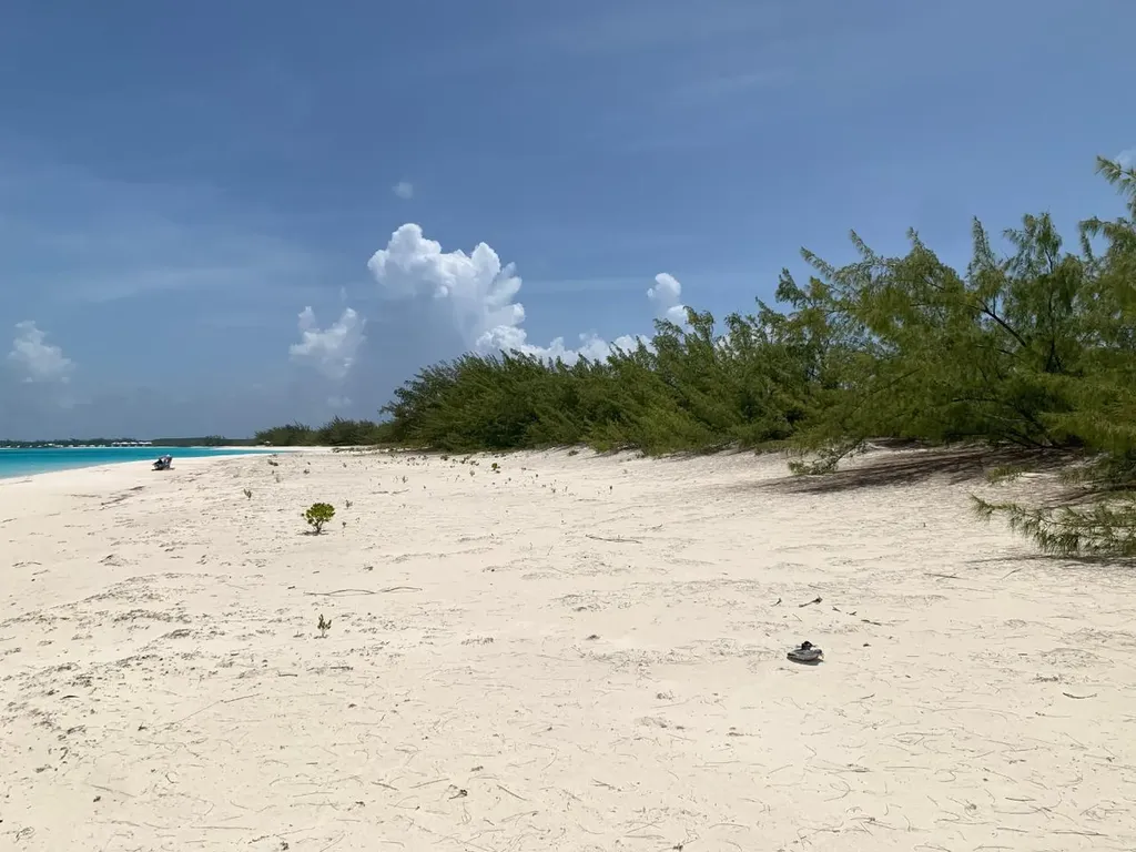 40 F Cape Santa Maria Long Island BS