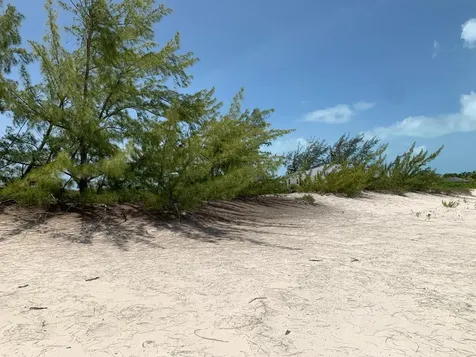 40 F Cape Santa Maria Long Island BS