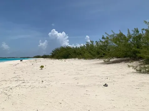 40 F Cape Santa Maria Long Island BS