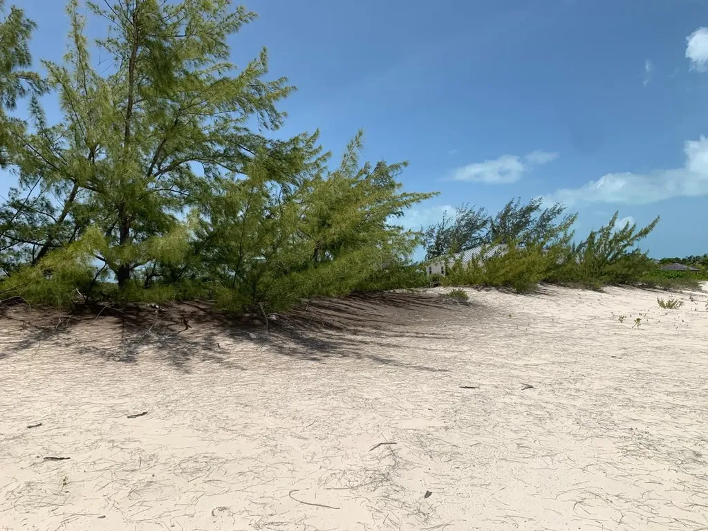 40 E Cape Santa Maria Long Island BS