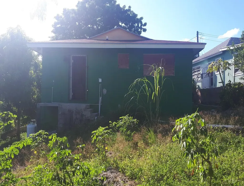 Dead Cat Alley New Providence Paradise Island BS
