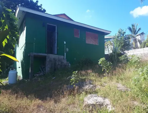 Dead Cat Alley New Providence Paradise Island BS
