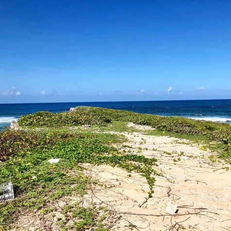 Black Point At Kings Bay Long Island BS