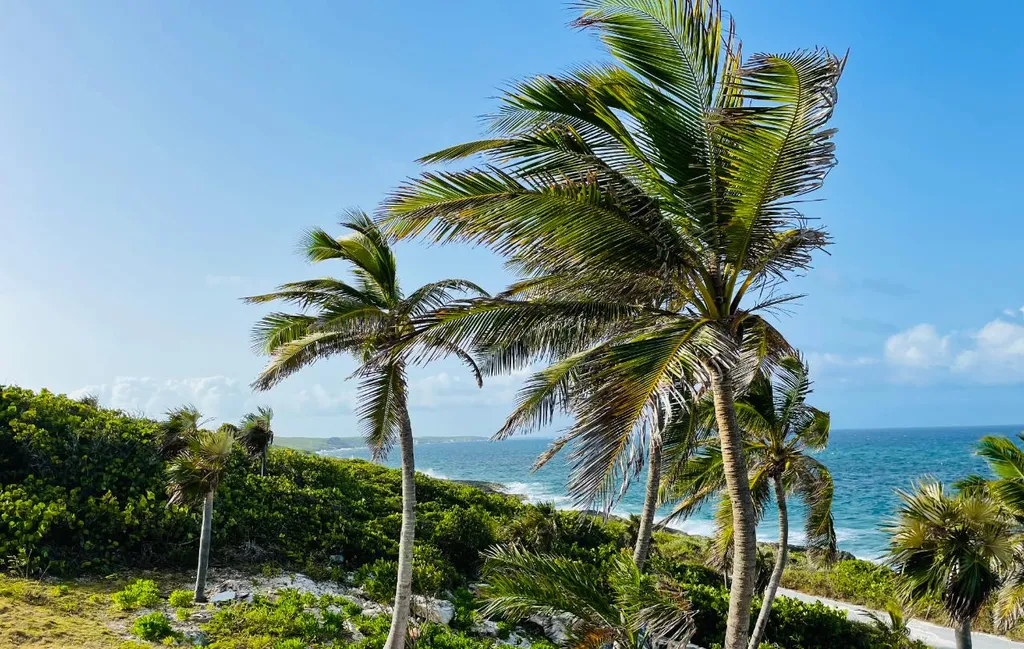 Lot 200 Stella Maris Long Island BS