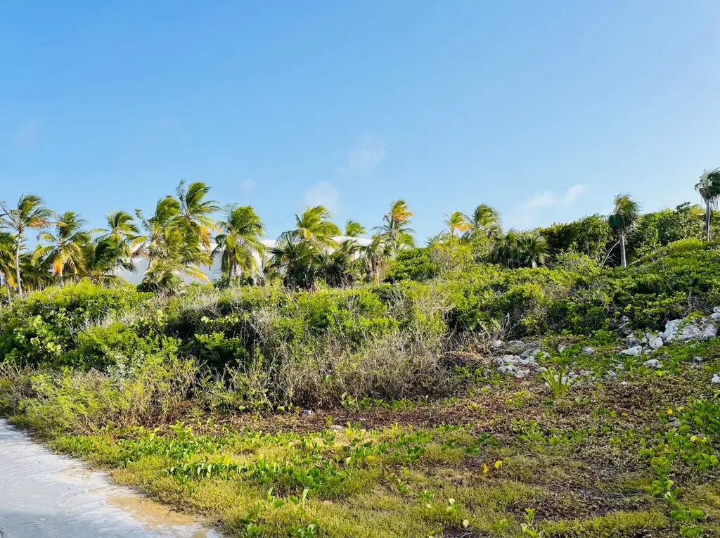 Lot 200 Stella Maris Long Island BS