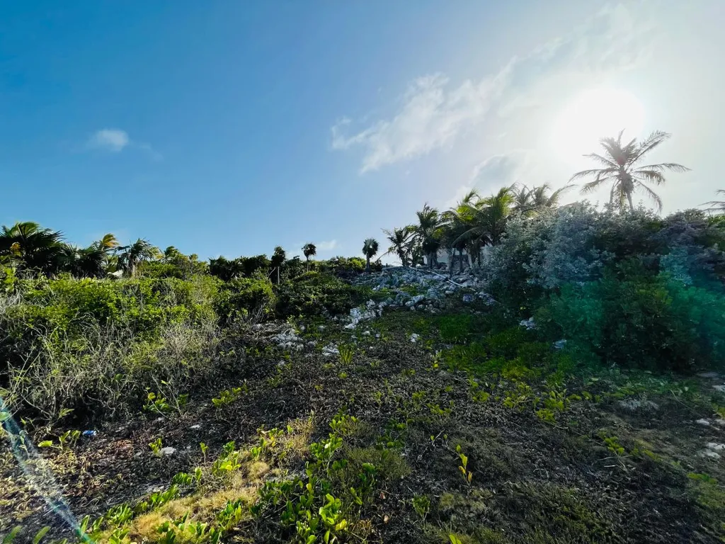 Lot 200 Stella Maris Long Island BS