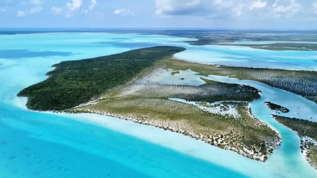 Hog / Mingo Rolle Cay Exuma BS