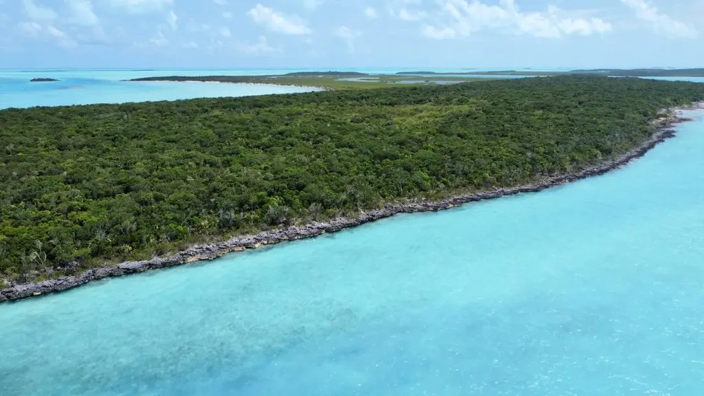 Hog / Mingo Rolle Cay Exuma BS