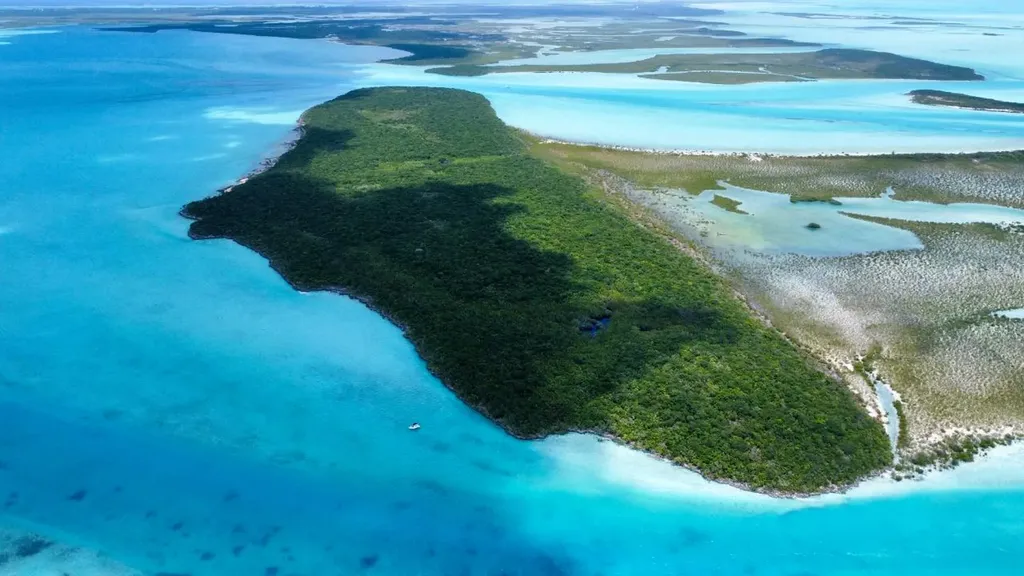 Hog / Mingo Rolle Cay Exuma BS