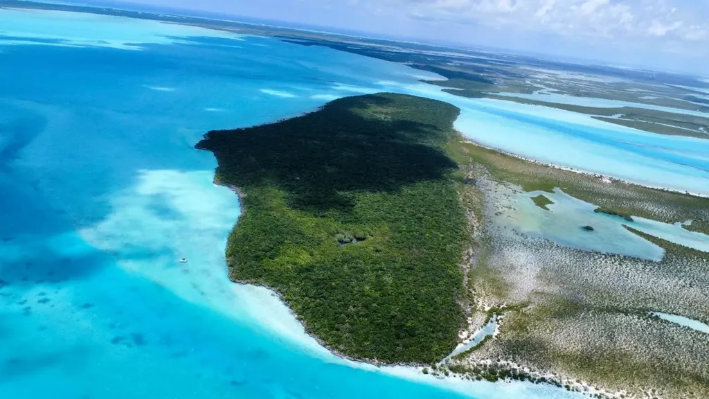 Hog / Mingo Rolle Cay Exuma BS