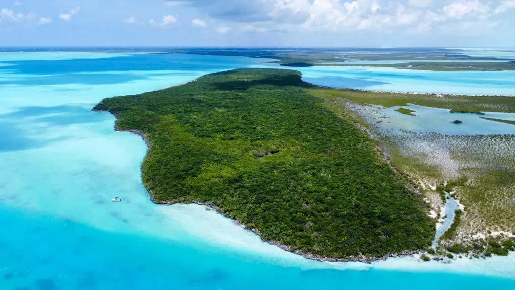 Hog / Mingo Rolle Cay Exuma BS