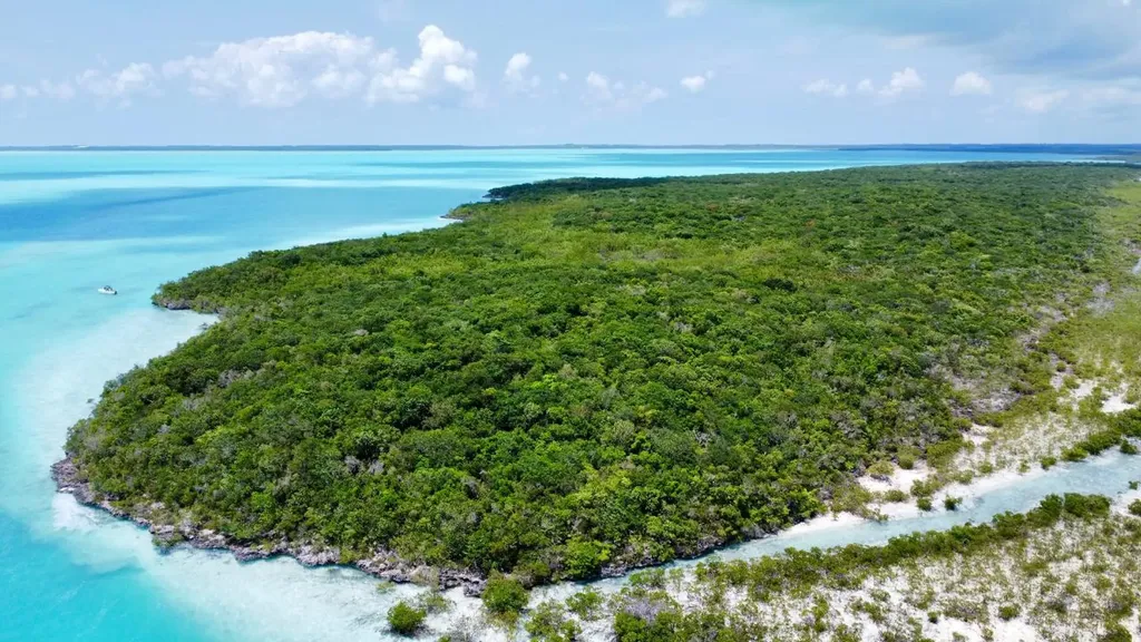 Hog / Mingo Rolle Cay Exuma BS