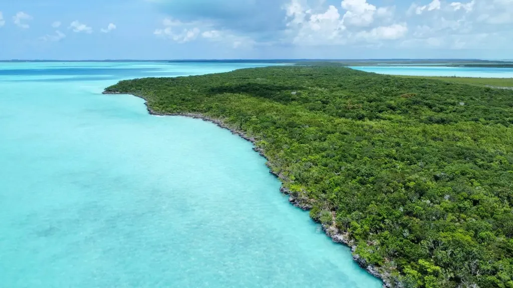 Hog / Mingo Rolle Cay Exuma BS