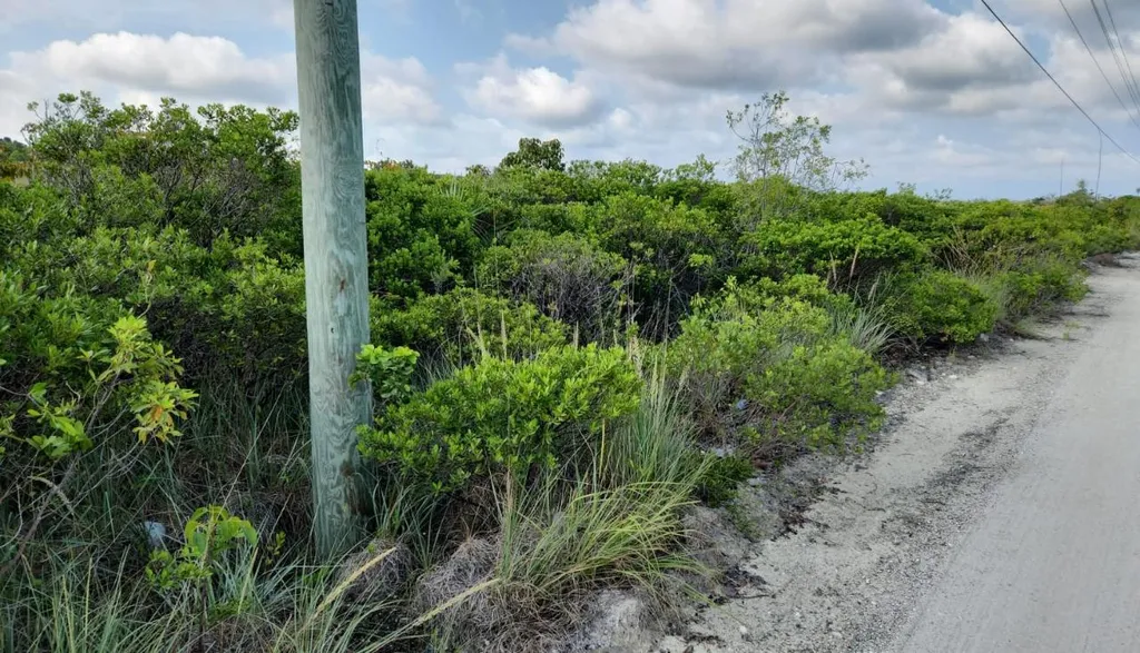 Entrance To Hawks Road Cat Island BS