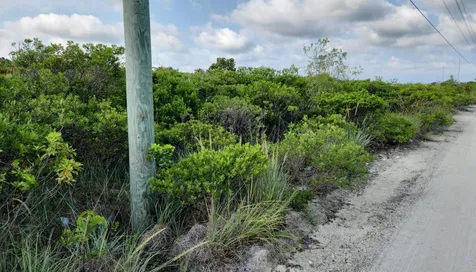 Entrance To Hawks Road Cat Island BS